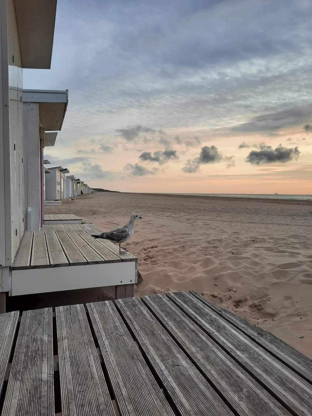 Calais Plage-Gare Appartement Elegant Tout Equipe Exteriér fotografie